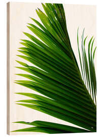 Wood print Palm Leaf