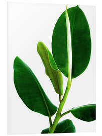 PVC print Green Leaves VI