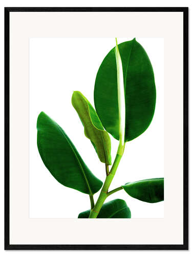 Plakat artystyczny premium w ramie Green Leaves VI
