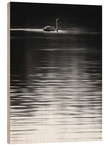 Tableau en bois Cygne