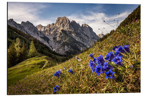 Aluminium print Spring in the mountains