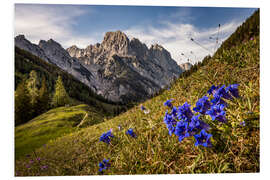 PVC-taulu Spring in the mountains