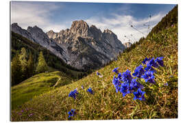 Galleritryck Spring in the mountains