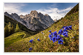 Kunstwerk  Spring in the mountains - Fotomagie