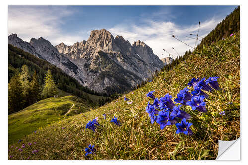 Muursticker Spring in the mountains