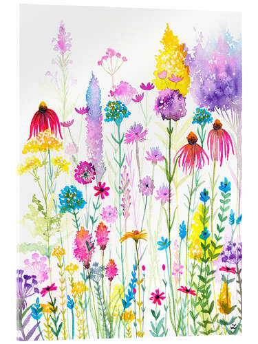 Acrylglasbild Wildblumen