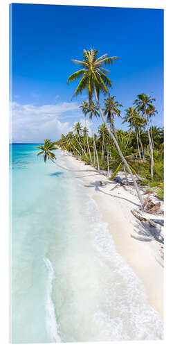 Acrylic print Palm beach in the South Pacific