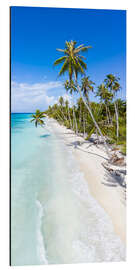 Aluminium print Palm beach in the South Pacific