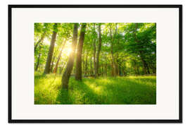 Gerahmter Kunstdruck Frühlingswald mit Sonne