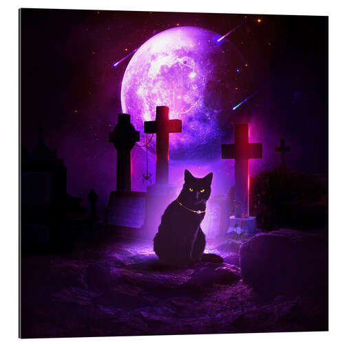 Gallery print Halloween cat