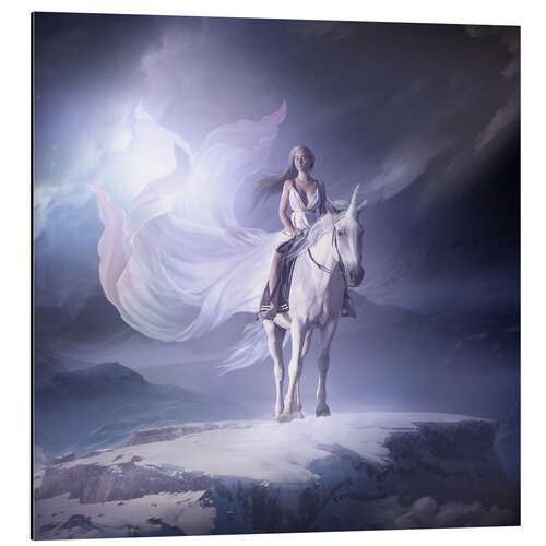 Aluminium print White unicorn