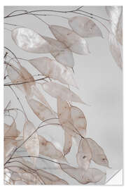 Naklejka na ścianę Abstract branches - collection from the forest in beige &amp; white