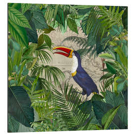 Tableau en aluminium Le royaume des Toucans