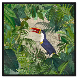 Gerahmter Kunstdruck Das Königreich der Tukane