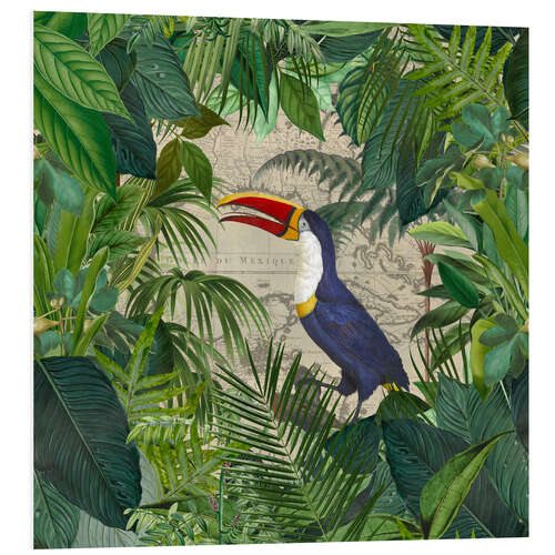 Foam board print The Toucans Kingdom