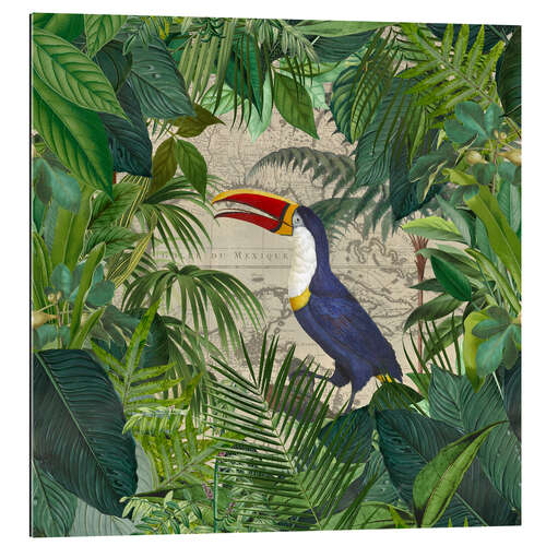 Galleriprint The Toucans Kingdom