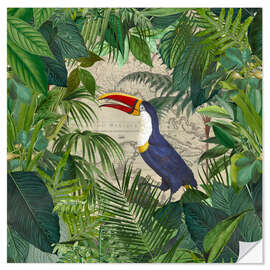 Sticker mural Le royaume des Toucans