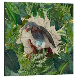 Aluminium print Parrots Paradise Garden