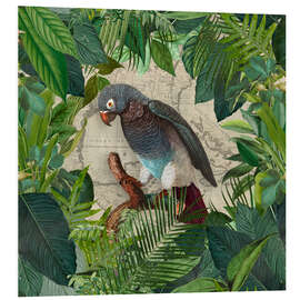 Foam board print Parrots Paradise Garden