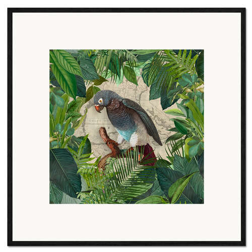 Innrammet kunsttrykk Parrots Paradise Garden