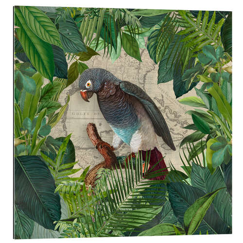 Gallery print Parrots Paradise Garden