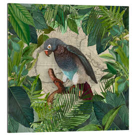 Galleriprint Parrots Paradise Garden