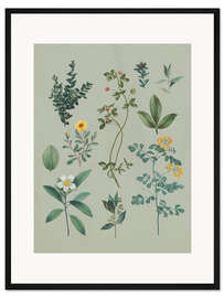 Gerahmter Kunstdruck Gartenblumen I