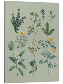 Magnettafel Gartenblumen I