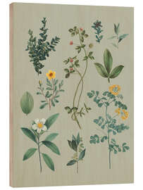 Wood print Garden flowers I