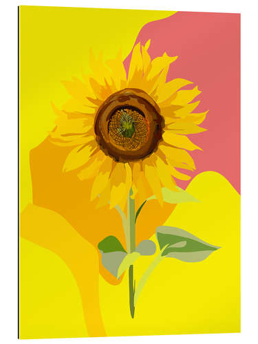 Gallery Print Sonnenblume