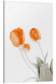 Aluminiumtavla Three tulips