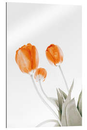 Gallery print Three tulips