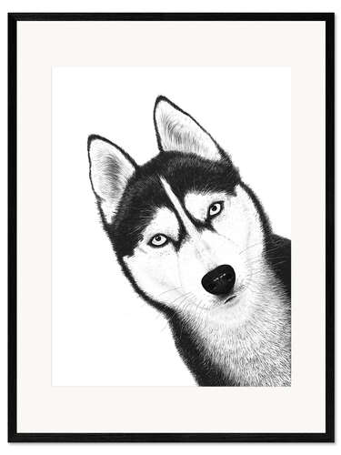 Gerahmter Kunstdruck Schwarzer Husky
