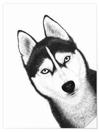 Wandsticker Schwarzer Husky