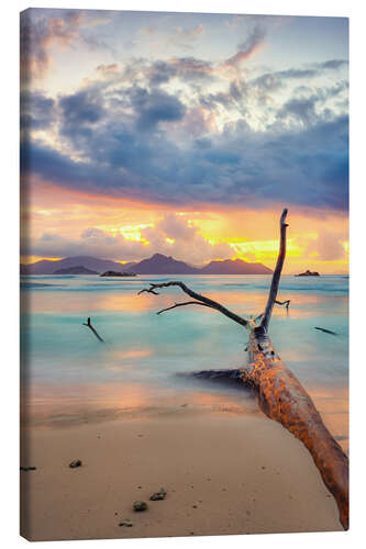 Canvas print Colors of the Seychelles