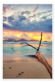Wall print  Colors of the Seychelles - Silvio Schoisswohl