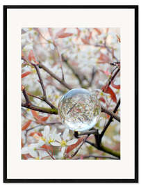 Framed art print Springtime