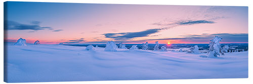 Tableau sur toile Coucher de soleil en Laponie