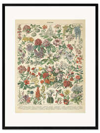 Inramat konsttryck Vintage floral chart