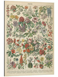 Magnettafel Vintage Blumendiagramm