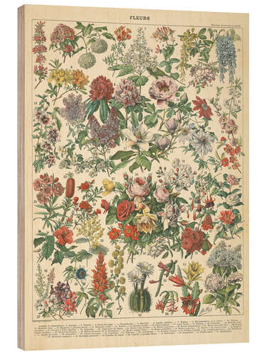 Trebilde Vintage floral chart