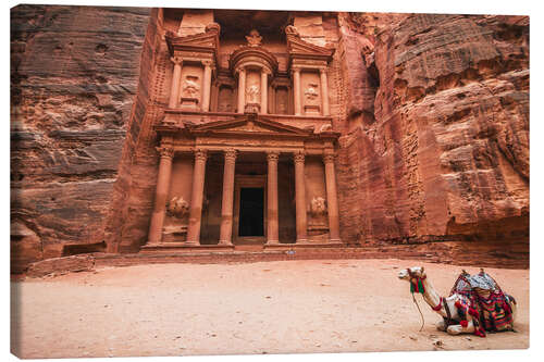 Canvastavla Camel in front of the treasury of Petra