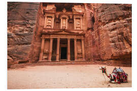 Foam board print Camel in front of the treasury of Petra