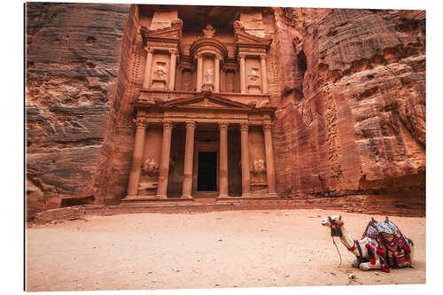 Galleriprint Camel in front of the treasury of Petra