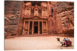 Gallery print Camel in front of the treasury of Petra