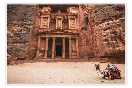 Poster Camel in front of the treasury of Petra