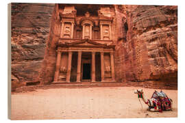 Trebilde Camel in front of the treasury of Petra