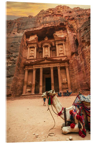 Acrylic print Camel in front of the treasury of Petra II