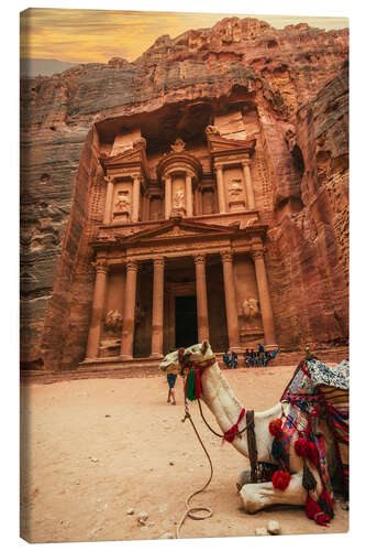 Canvastavla Camel in front of the treasury of Petra II