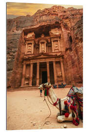 Gallery print Camel in front of the treasury of Petra II